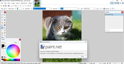 Paint.NET 5.0 Torrent
