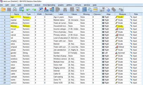 SPSS 2025 Download With Free Trial
